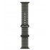Apple Watch Ultra 4 GPS+Cellular, 49 мм, Black Titanium TransluBlack Ocean Band Apple Watch Ultra 4 GPS+Cellular, 49 мм, Black Titanium TransluBlack Ocean Band